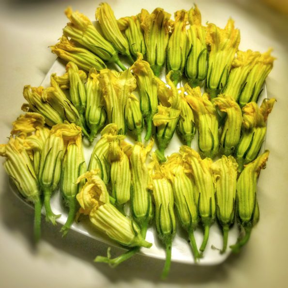 fleurs de courgettes