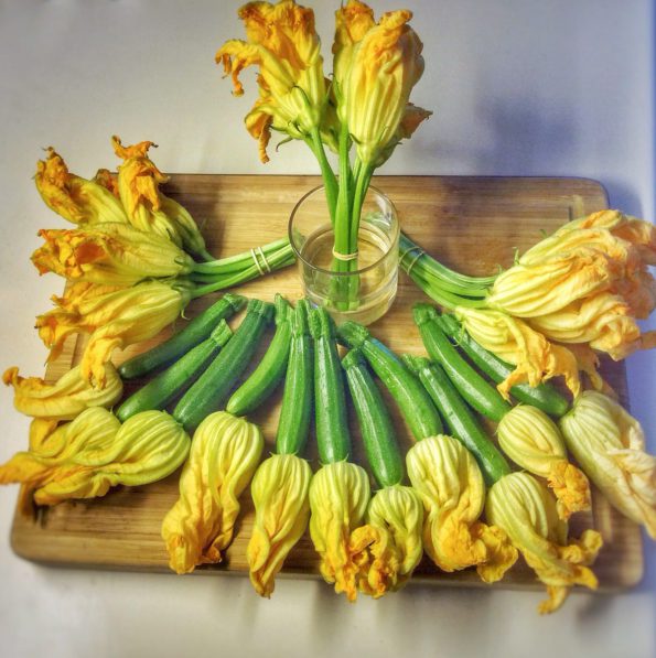 fleurs de courgettes