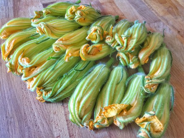 fleurs de courgettes