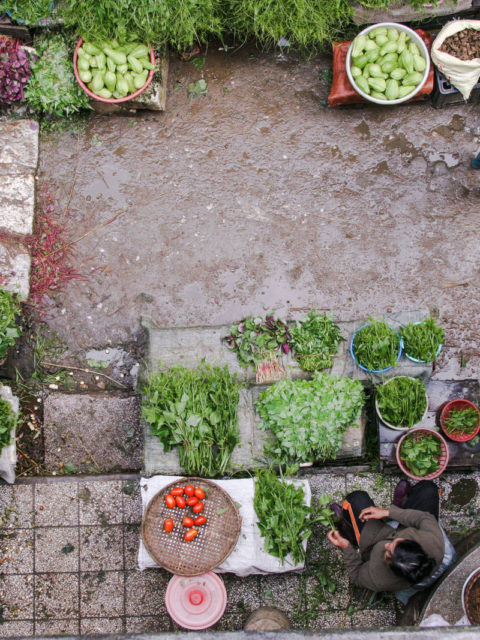 Manger local, bio et vegan en PACA