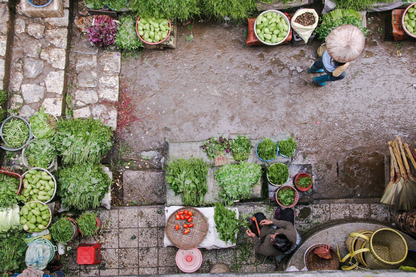 Manger local, bio et vegan en PACA