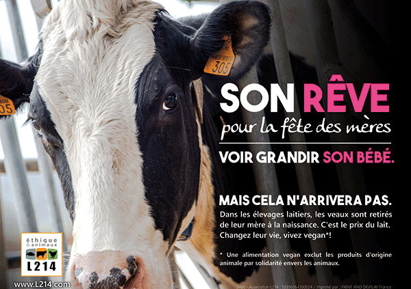 Lait de soja : 6 bienfaits que vous devez absolument connaître !