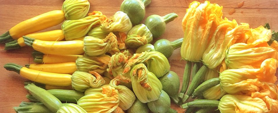 courgettes-fleurs