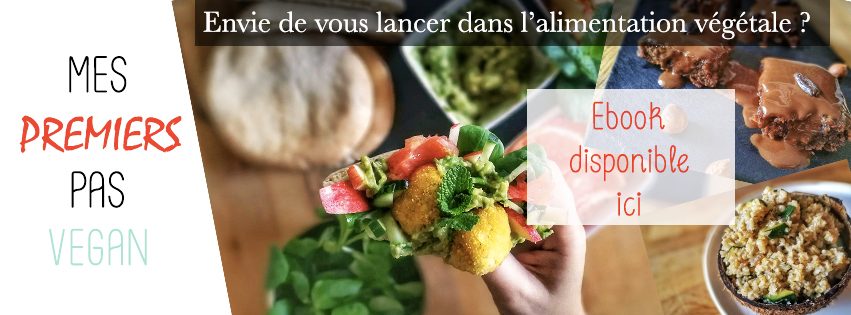 ebook veganfreestyle