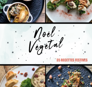 Ebook Noël végétal