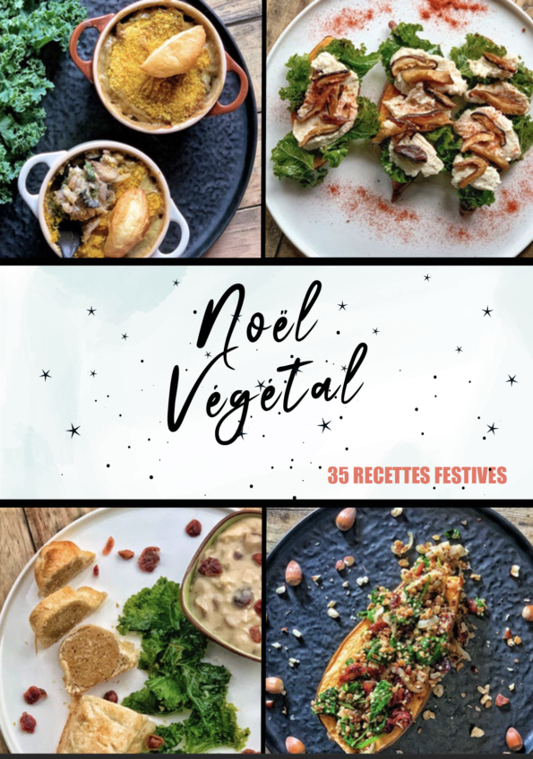 Ebook Noël végétal