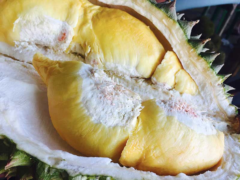 cuisiner le jackfruit